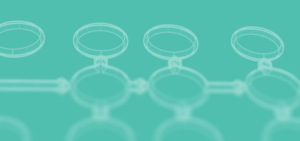 Read more about the article The Craft – a nod to our past 